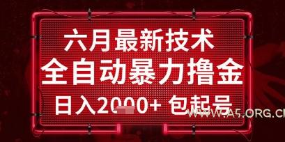六月最新技术全自动暴力撸金，稳定日入2k+包起号，长期稳定【揭秘】-A5资源网