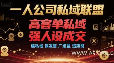 一人公司私域联盟，高客单私域，强人设成交，建私域 搞发售 广结盟 造势能-A5资源网