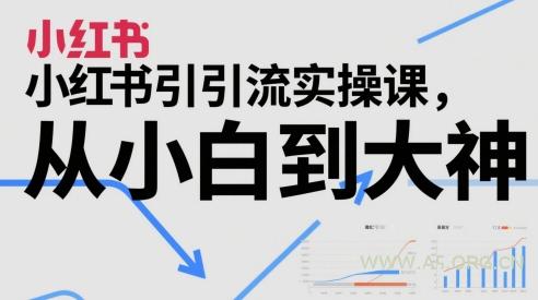 小红书引流实操课，从小白到大神-A5资源网