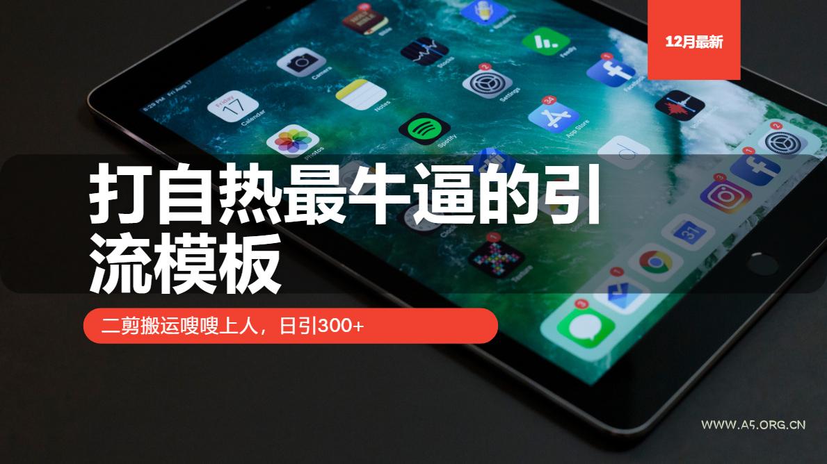 打自热最牛逼的引流模板，二剪搬运嗖嗖上人，日引300+-A5资源网