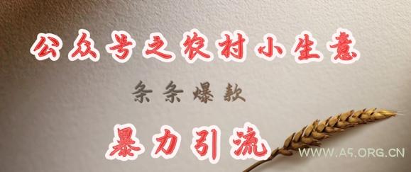 deepseek写农村小项目，条条爆款，暴力引流-A5资源网