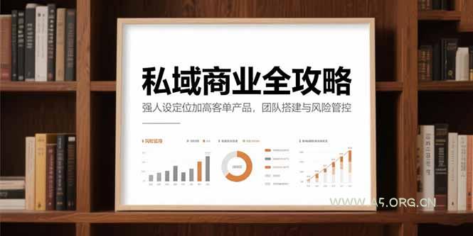 私域商业全攻略，强人设定位加高客单产品，团队搭建与风险管控-A5资源网