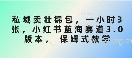 私域卖壮锦包，一小时3张，小红书蓝海赛道3.0版本， 保姆式教学-A5资源网
