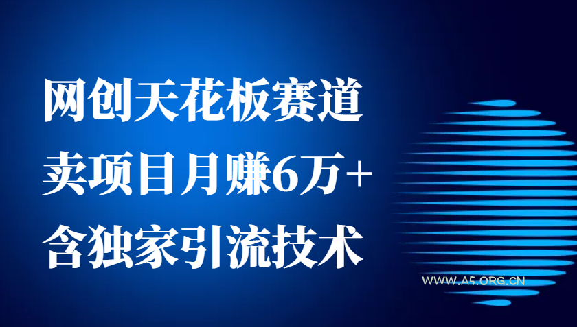 网创天花板赛道，卖项目月赚6万+，含独家引流技术(共26节课)-A5资源网
