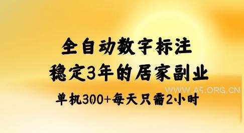 全自动数字标注，稳定3年的蓝海项目，居家也能矩阵开干的副业，单机日入3张+【揭秘】-A5资源网