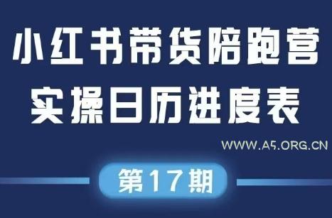盗坤·抖音小红书视频号短视频带货与直播变现(11-17期)-A5资源网
