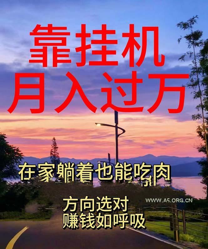 靠挂机，日入1000+，躺着也能吃肉，电脑手机都可挂-A5资源网