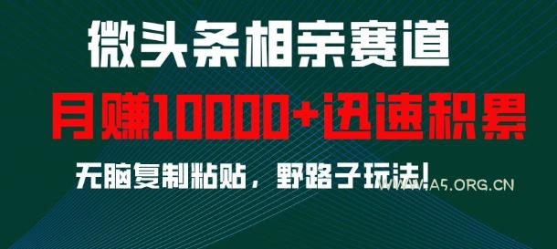 微头条相亲赛道，迅速积累，无脑复制粘贴，野路子玩法，月入1w-A5资源网