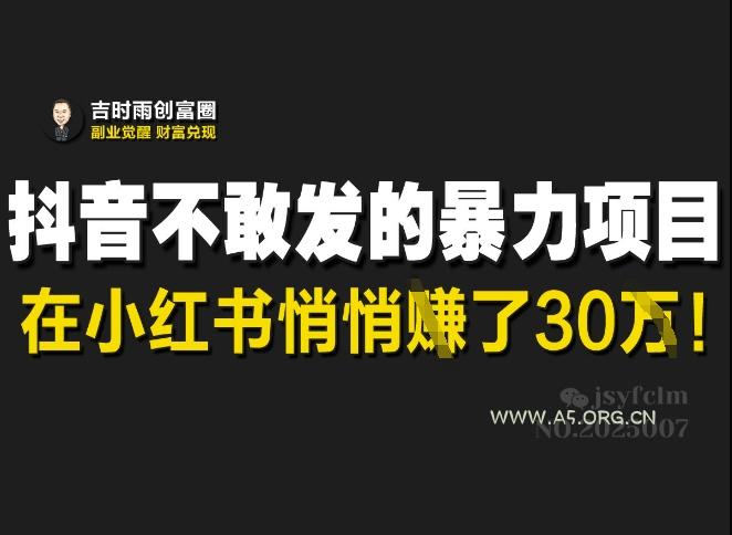 抖音不敢发的暴利项目，在小红书悄悄挣了30W-A5资源网