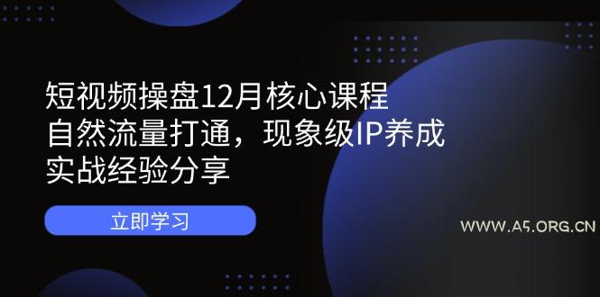 短视频操盘12月核心课程：自然流量打通，现象级IP养成，实战经验分享-A5资源网