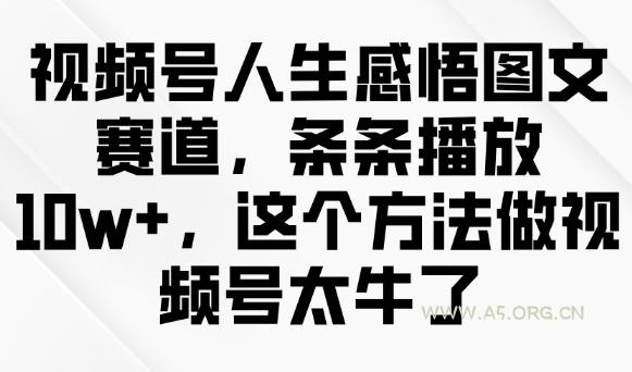 视频号人生感悟图文赛道，条条播放10w+，这个方法做视频号太牛了-A5资源网