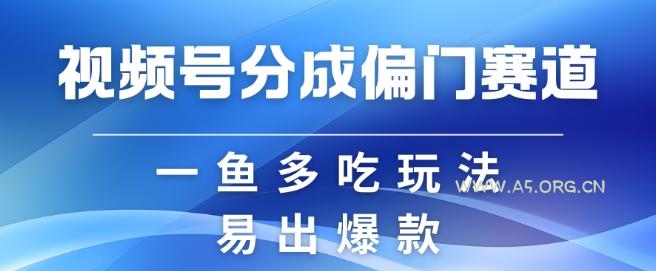 视频号创作者分成计划偏门类目，容易爆流，实拍内容简单易做【揭秘】-A5资源网