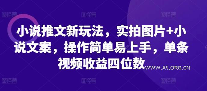 小说推文新玩法，实拍图片+小说文案，操作简单易上手，单条视频收益四位数-A5资源网