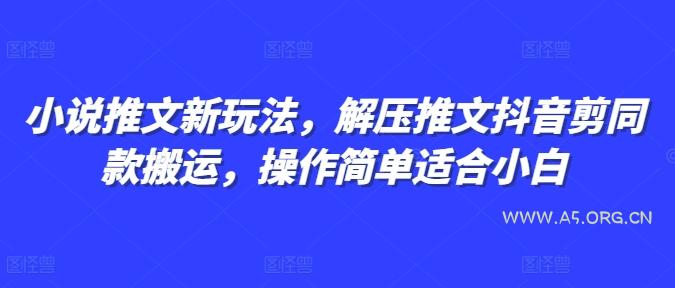 小说推文新玩法，解压推文抖音剪同款搬运，操作简单适合小白-A5资源网