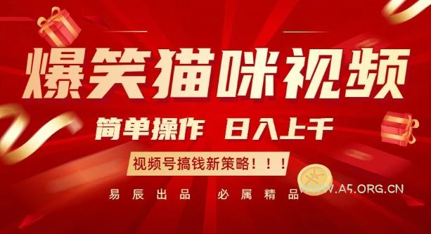 爆笑猫咪视频：简单操作，日入过K，视频号搞钱新策略【揭秘】-A5资源网