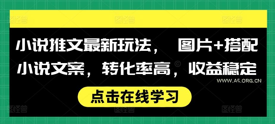 小说推文最新玩法， 图片+搭配小说文案，转化率高，收益稳定-A5资源网