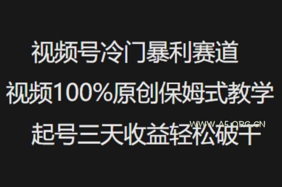视频号冷门暴利赛道视频100%原创保姆式教学起号三天收益轻松破千-A5资源网