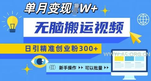 无脑搬运视频号可批量复制，新手即可操作，日引精准创业粉300+，月变现过W 【揭秘】-A5资源网