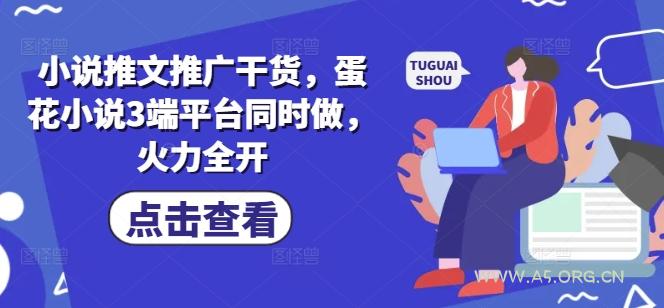 小说推文推广干货，蛋花小说3端平台同时做，火力全开-A5资源网