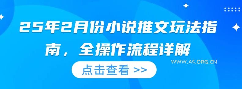 25年2月份小说推文玩法指南，全操作流程详解-A5资源网