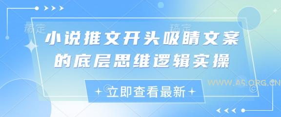 小说推文开头吸睛文案的底层思维逻辑实操-A5资源网