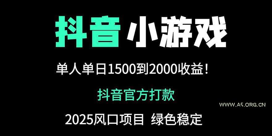 抖音官方小游戏2025全网最新玩法，暴利赚钱项目，单机日入2000+-A5资源网