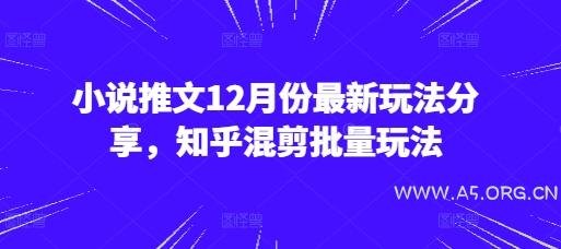小说推文12月份最新玩法分享，知乎混剪批量玩法-A5资源网