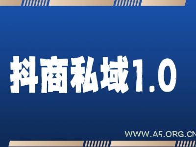 抖商服务私域1.0，抖音引流获客详细教学-A5资源网