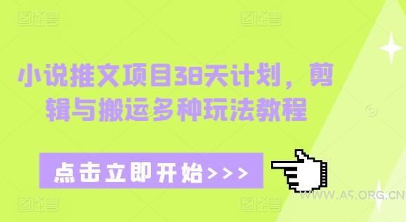 小说推文项目38天计划，剪辑与搬运多种玩法教程-A5资源网