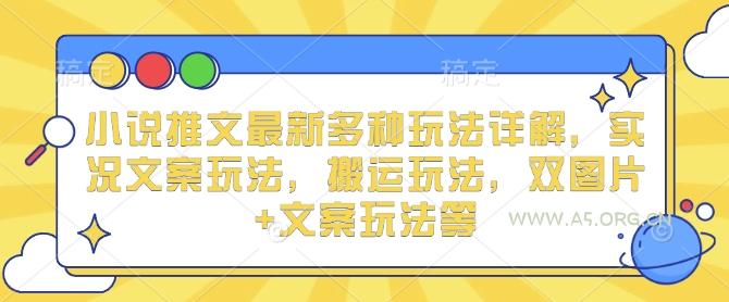 小说推文最新多种玩法详解，实况文案玩法，搬运玩法，双图片+文案玩法等-A5资源网