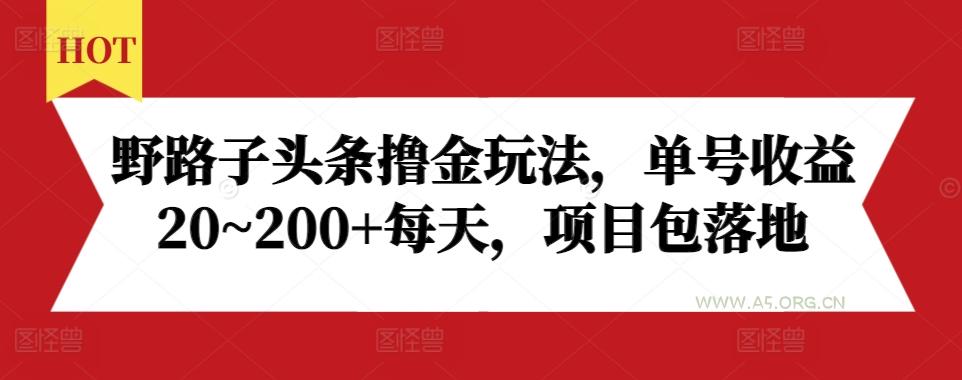 野路子头条撸金玩法，单号收益20~200+每天，项目包落地-A5资源网