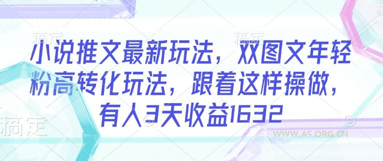 小说推文最新玩法，双图文年轻粉高转化玩法，跟着这样操做，有人3天收益1632-A5资源网