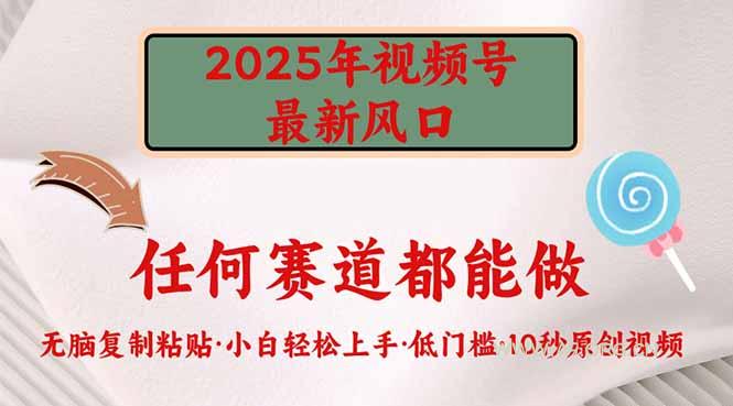 2025年视频号新风口，低门槛只需要无脑执行-A5资源网
