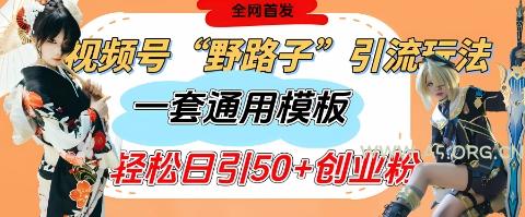 视频号“野路子”玩法，评论区疯狂截流，一套模板单日单号引流50+创业粉-A5资源网