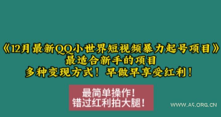 12月最新QQ小世界短视频暴力起号项目，最适合新手的项目，多种变现方式-A5资源网