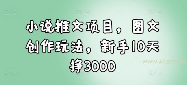 小说推文项目，图文创作玩法，新手10天挣3000-A5资源网