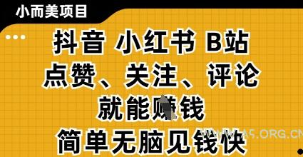 小而美的项目，抖音小红书B站视频点赞、关注、评论就能挣钱，简单无脑立见收益，妥妥的零撸项目【揭秘】-A5资源网