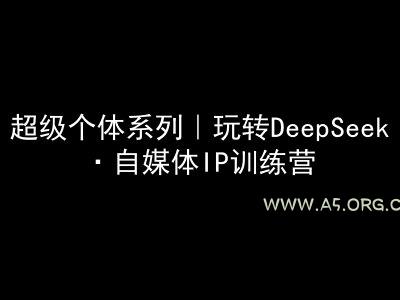 超级个体系列，玩转DeepSeek·自媒体IP训练营，deepseek教程-A5资源网