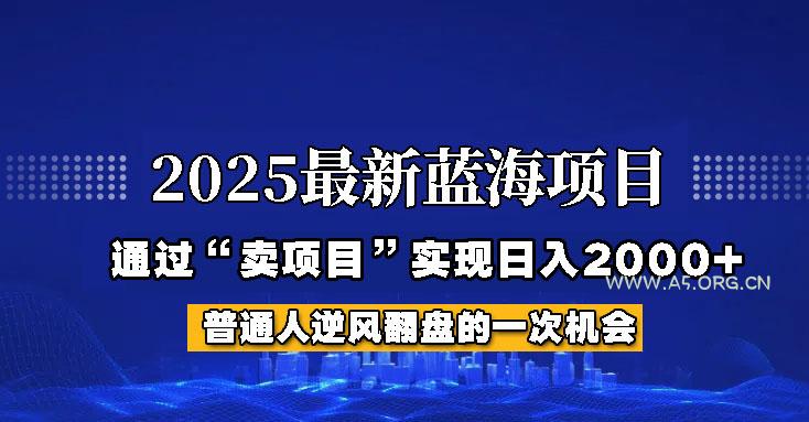 2025年蓝海项目，如何通过“网创项目”日入2000+-A5资源网