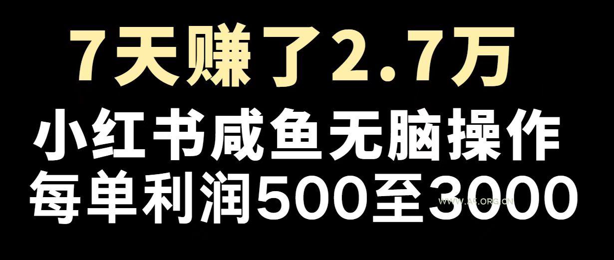 最赚钱项目之一，2025爆火，逆风翻盘！-A5资源网