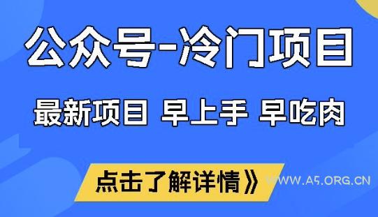 公众号冷门赛道，早上手早吃肉，单月轻松稳定变现1W【揭秘】-A5资源网