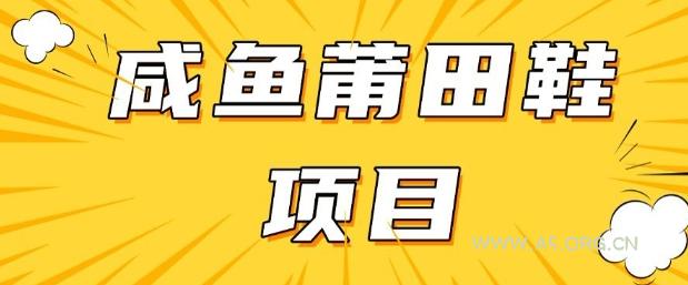 闲鱼高转化项目，手把手教你做，日入3张+(详细教程+货源)-A5资源网