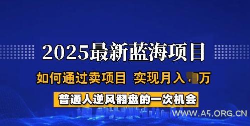 2025蓝海项目，普通人如何通过卖项目，实现月入过W，全过程【揭秘】-A5资源网