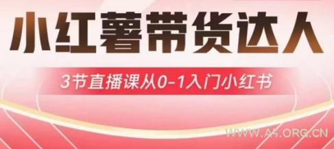 小红薯达人带货启航计划，3节直播课从0-1入门小红书-A5资源网