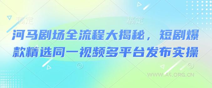 河马剧场全流程大揭秘，短剧爆款精选同一视频多平台发布实操-A5资源网