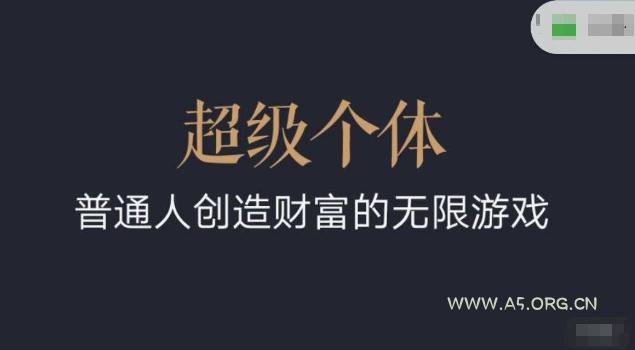 超级个体2024-2025翻盘指南，普通人创造财富的无限游戏-A5资源网
