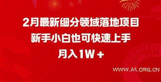 2月最新细分领域落地项目，新手小白也可快速上手，月入1W-A5资源网