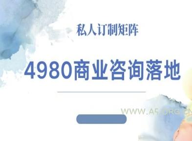 4980商业咨询师落地课程-ip运营高客单教程-A5资源网