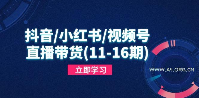 抖音/小红书/视频号/直播带货(11-16期-A5资源网