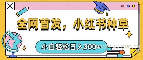 小红书种草，手机项目，日入3张，复制黏贴即可，可矩阵操作，动手不动脑【揭秘】-A5资源网